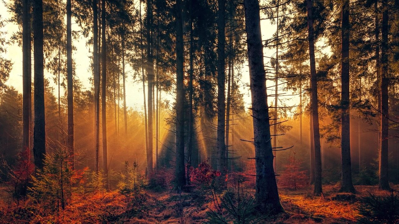 Immagine del buongiorno di domenica 25 ottobre 2026: Un pensiero affettuoso e una preghiera per te e la tua famiglia