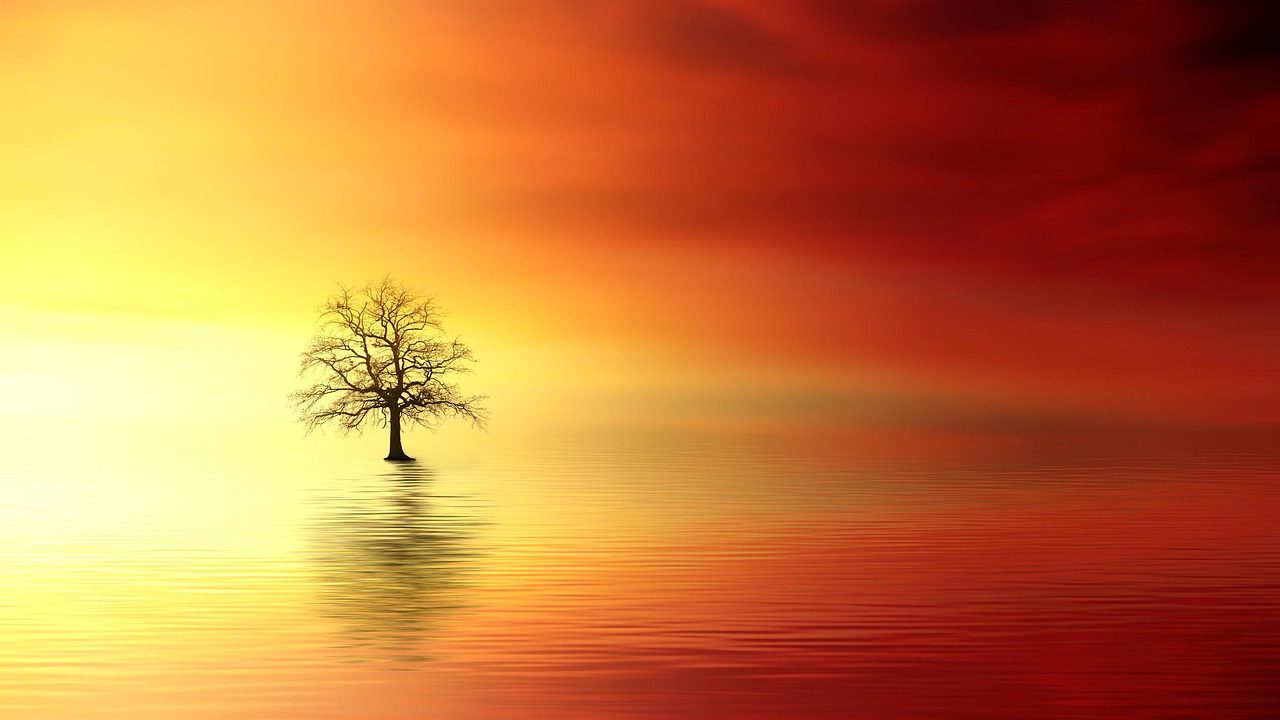 Immagine del buongiorno di mercoledì 4 novembre 2026: Un piccolo pensiero di affetto per iniziare bene la giornata.